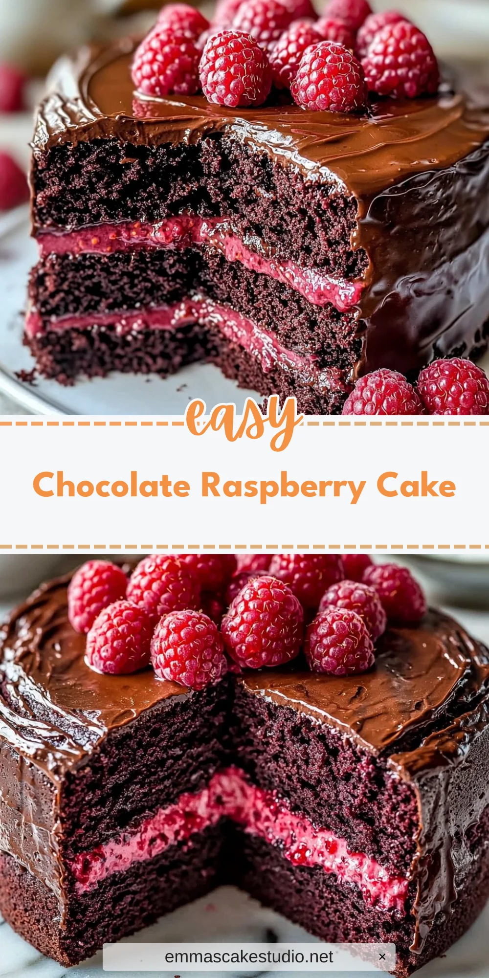 Chocolate Raspberry Cake