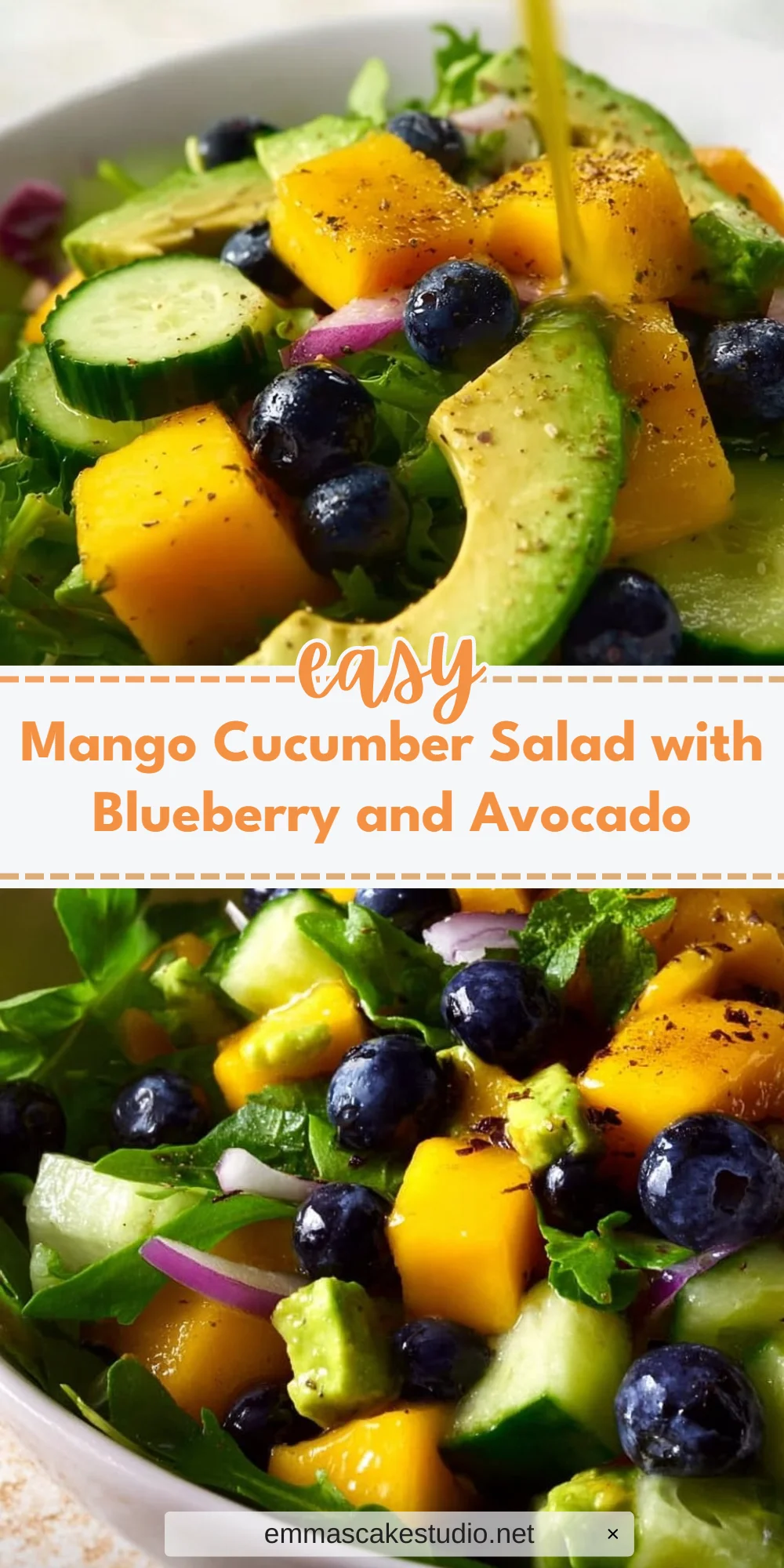 Mango Cucumber Salad with Blueberry and Avocado