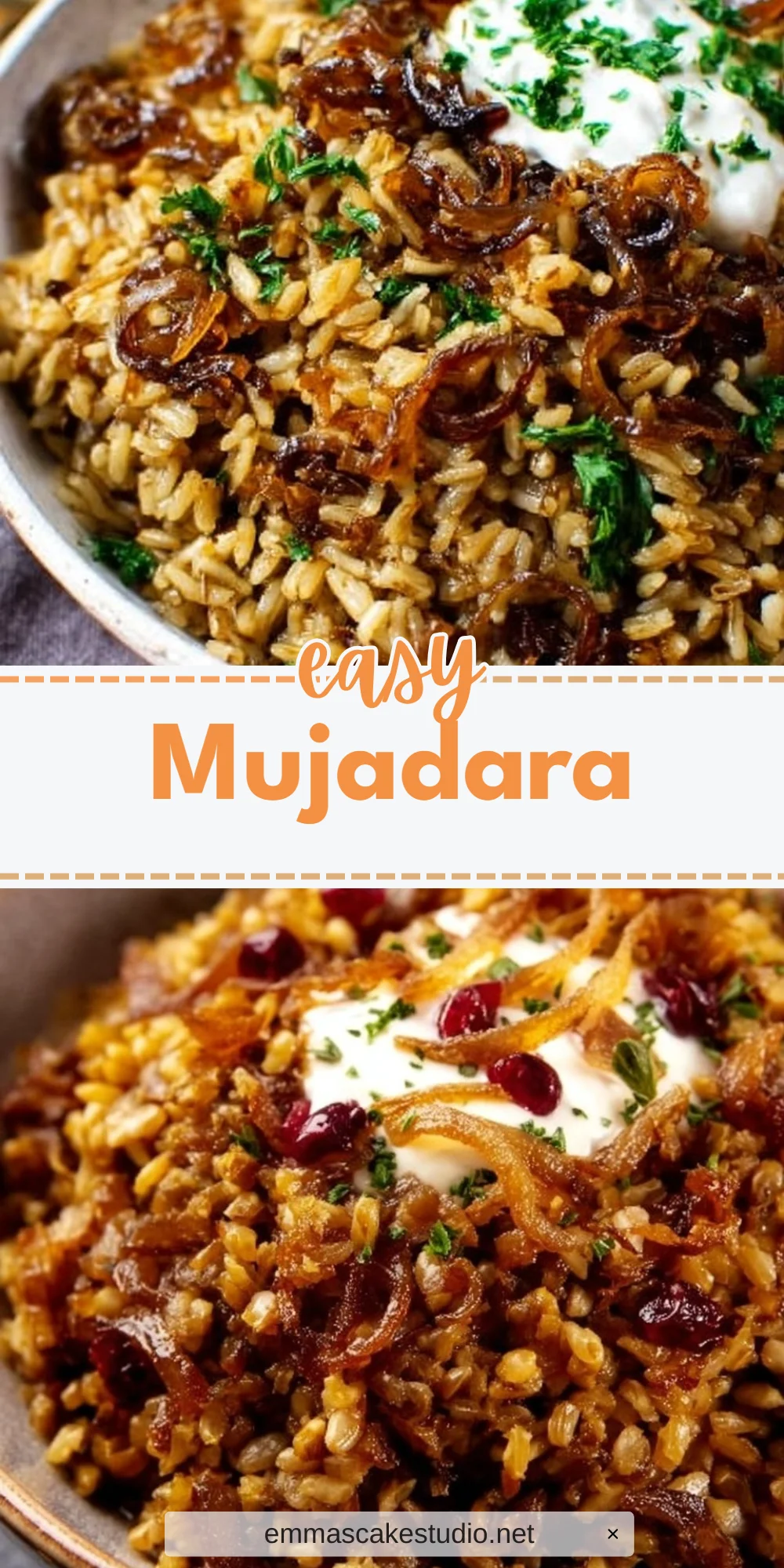 Mujadara