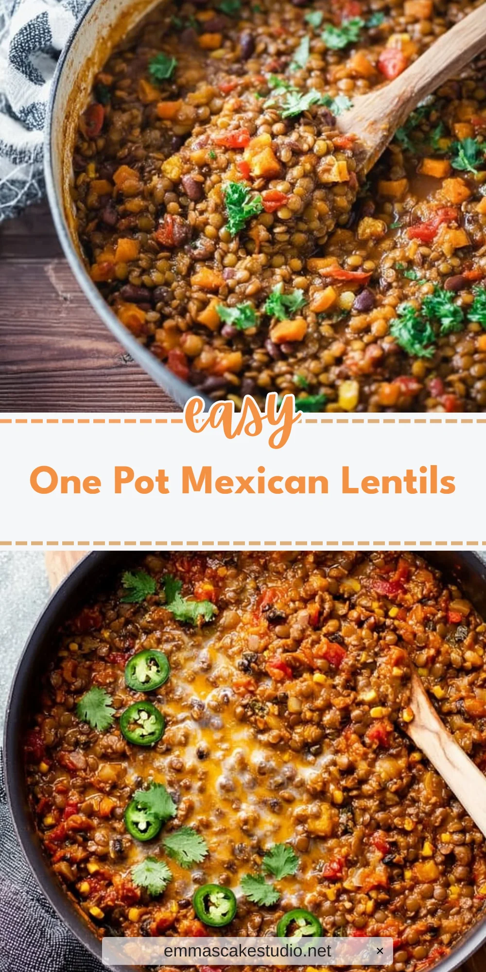 One Pot Mexican Lentils