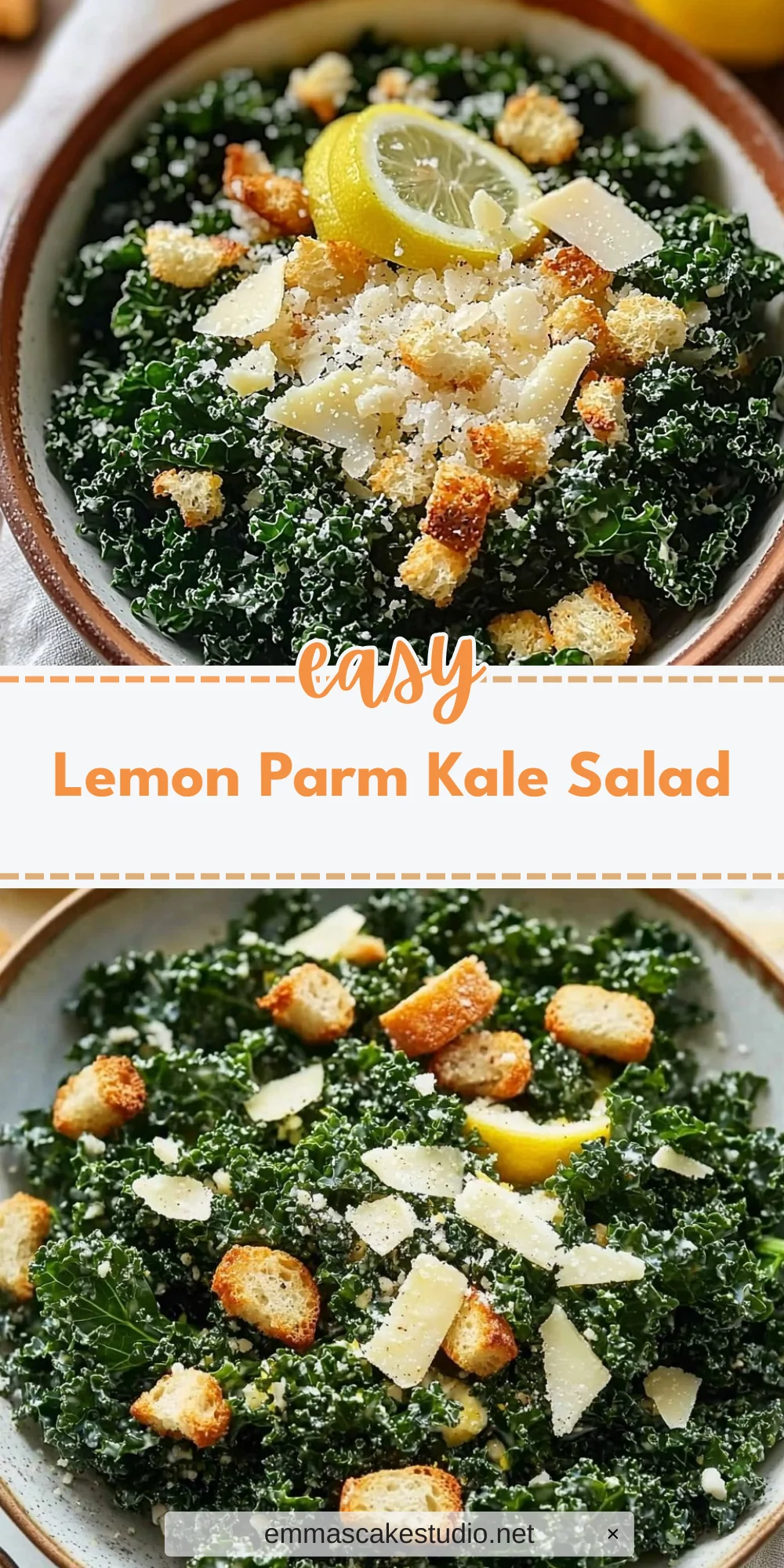 Lemon Parm Kale Salad