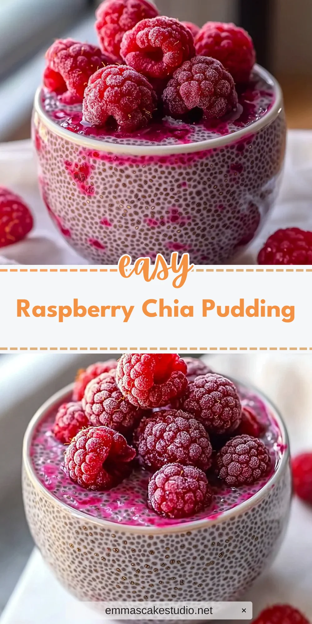 Raspberry Chia Pudding