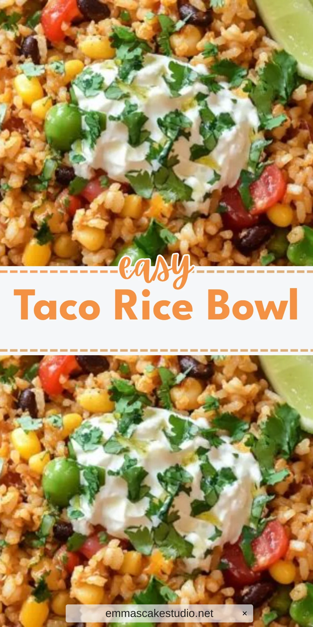 Taco Rice Bowl