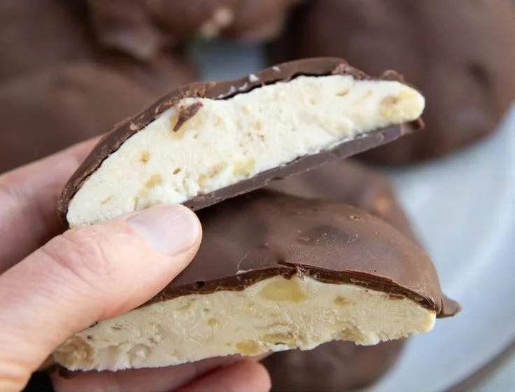 Chocolate Covered Peanut Butter Banana Frozen Yogurt Bites