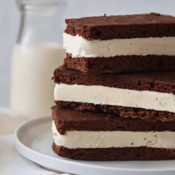 A delicious Chocolate Sourdough Ice Cream Sandwich on a plate
