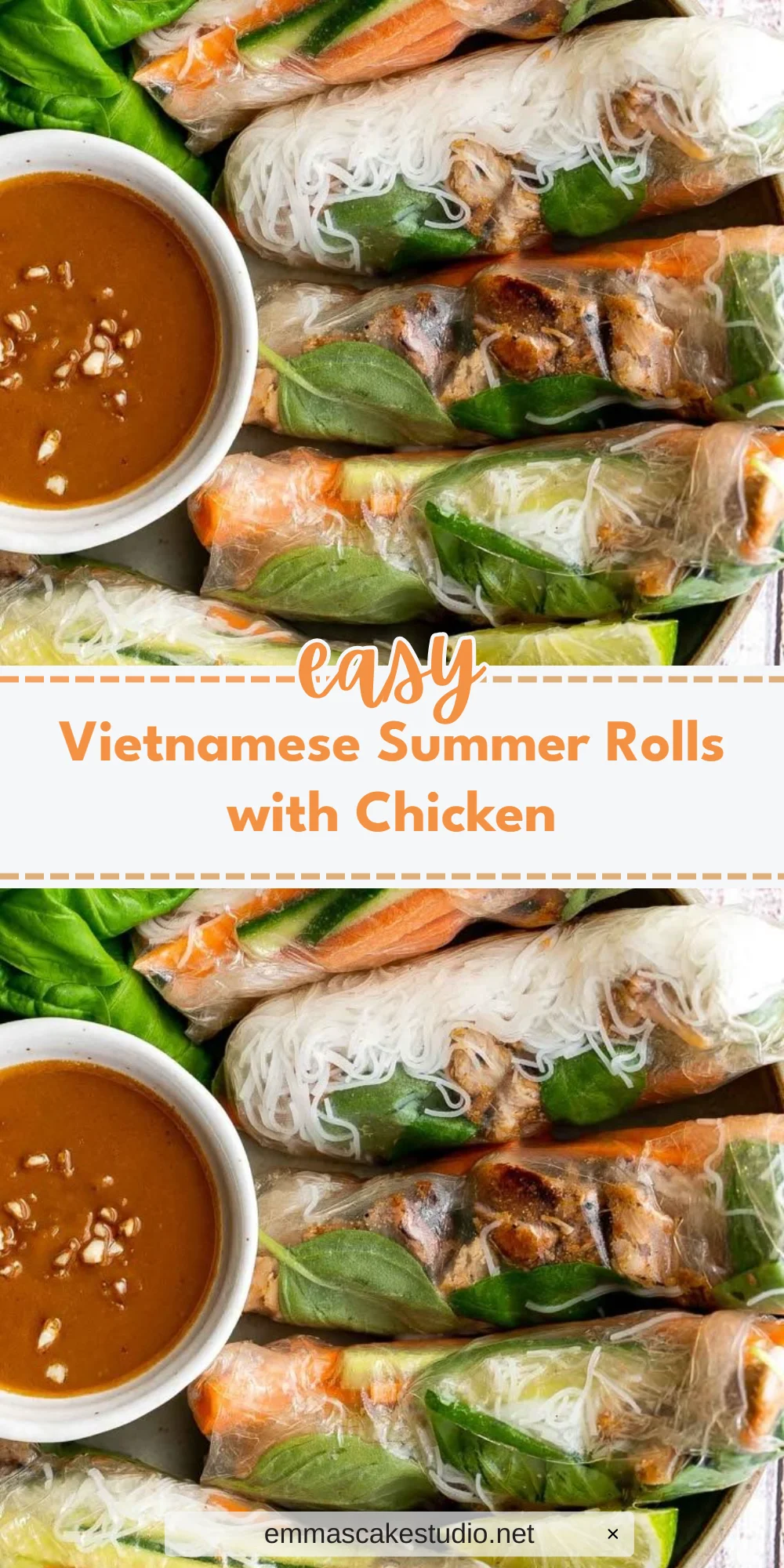 Vietnamese Summer Rolls with Chicken