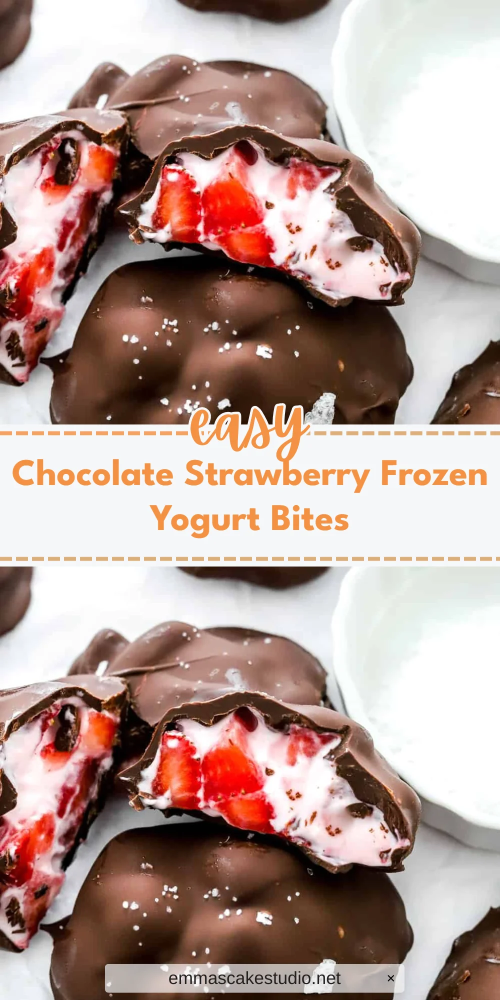 Chocolate Strawberry Frozen Yogurt Bites